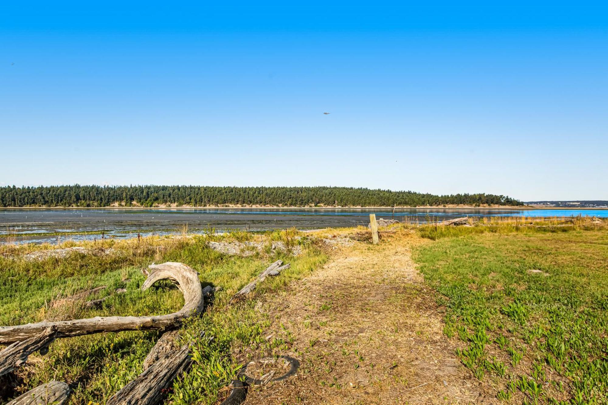 Marrowstone Island Beach Cabin Exterior foto